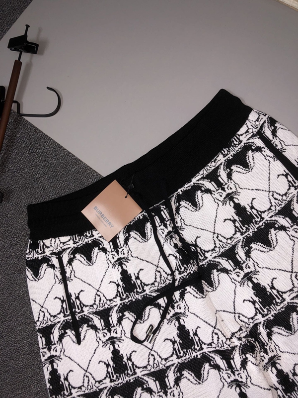 ブランドハーフパンツ背面デザイン